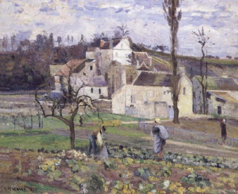 Camille Pissarro Cabbage patch near the village oil painting image